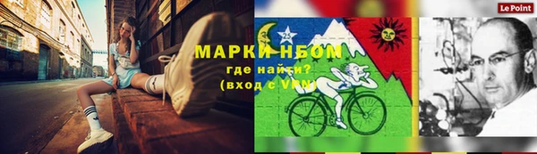 Альфа ПВП Магадан