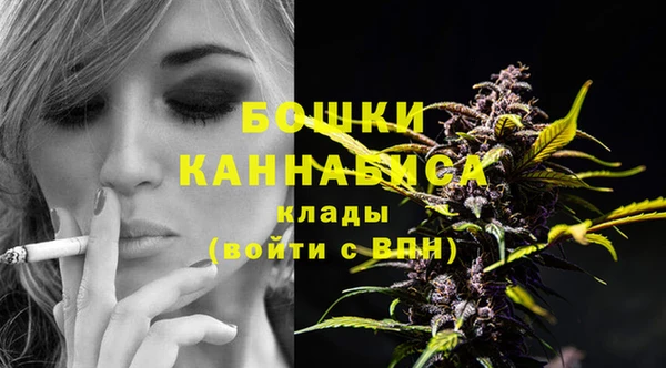 дмт Магас