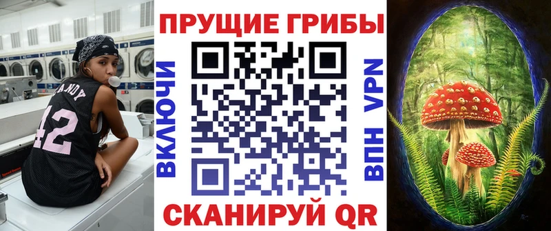 Псилоцибиновые грибы Psilocybe  Пенза 