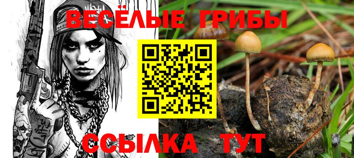 Псилоцибиновые грибы Psilocybine cubensis  Вход с VPN  Галлюциногенные грибы Cubensis  Пенза 