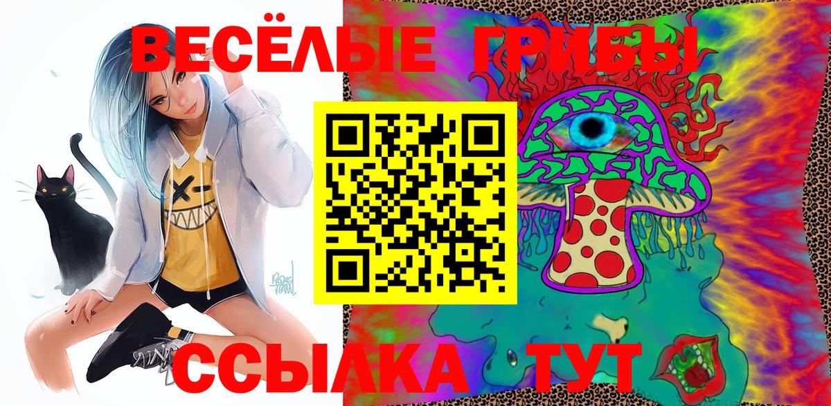 Псилоцибиновые грибы мицелий Пенза