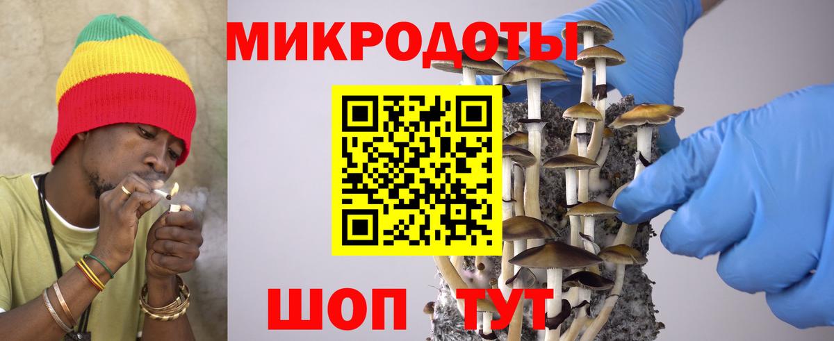 сколько стоит  Пенза  Галлюциногенные грибы мицелий  Галлюциногенные грибы прущие грибы 