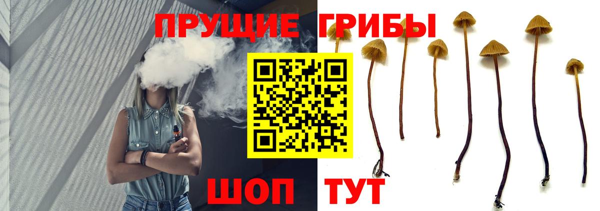 Галлюциногенные грибы мицелий Пенза