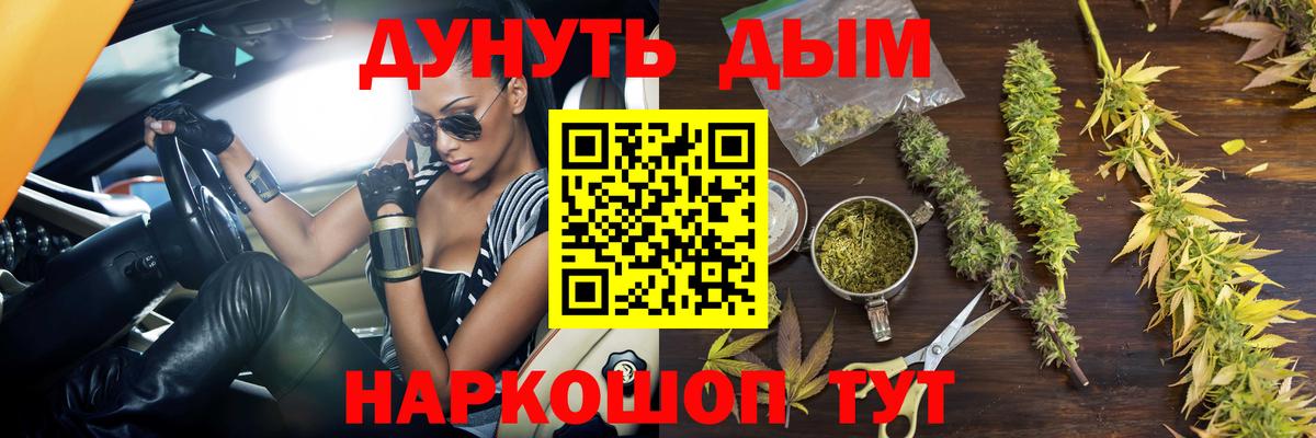 Бошки Шишки планчик  Бошки марихуана Ganja  Пенза  Вход с VPN 